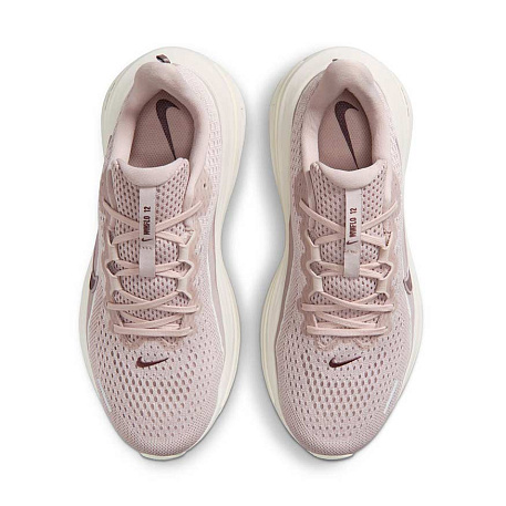 Кроссовки Nike Air Winflo 12
