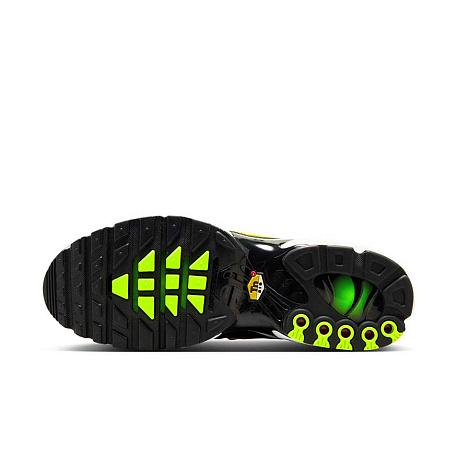 Кроссовки Nike Air Max Plus