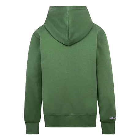 Толстовка Jordan Masters