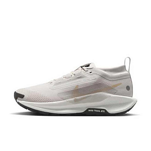 Кроссовки Nike Pegasus Trail 5 GORE-TEX