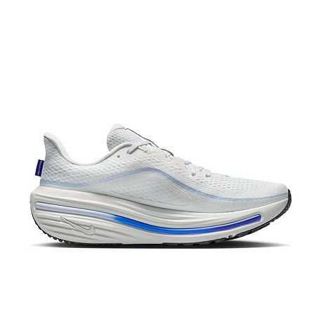 Кроссовки Nike Air Winflo 12