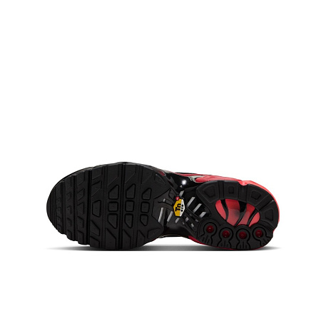 Кроссовки Nike Air Max Plus (GS)