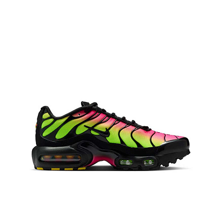 Кроссовки Nike Air Max Plus (GS)
