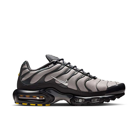 Кроссовки Nike Air Max Plus