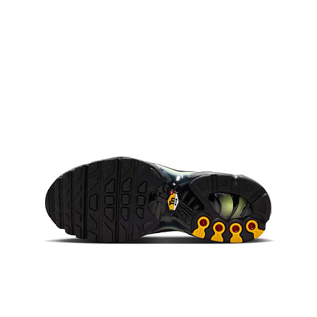 Кроссовки Nike Air Max Plus (GS)