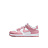 Кроссовки Nike Dunk Low (PSE)