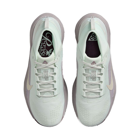Кроссовки Nike ACG Pegasus Trail Gore-Tex