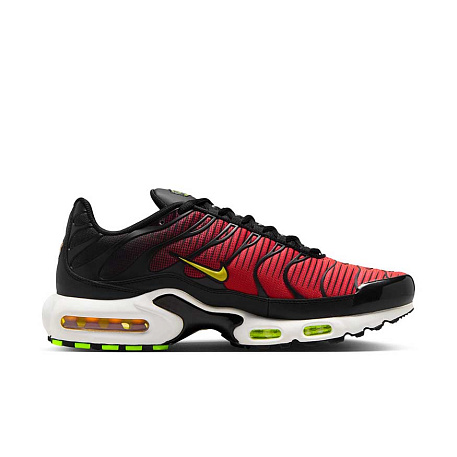 Кроссовки Nike Air Max Plus