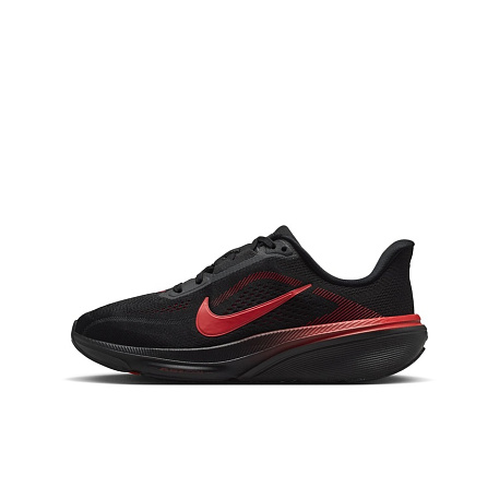 Кроссовки Nike Air Zoom Pegasus 42 (GS)