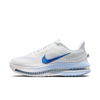Кроссовки Nike Pegasus Premium