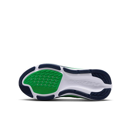 Кроссовки Nike Air Zoom Pegasus 42 (GS)
