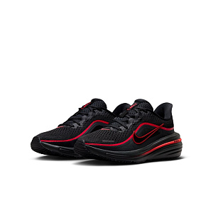 Кроссовки Nike Air Winflo 12 (GS)