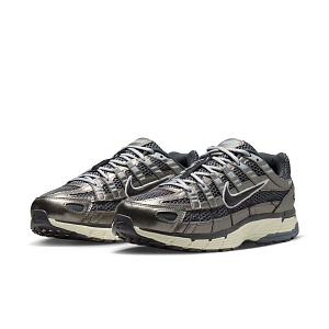 Кроссовки Nike P-6000 Special Edition