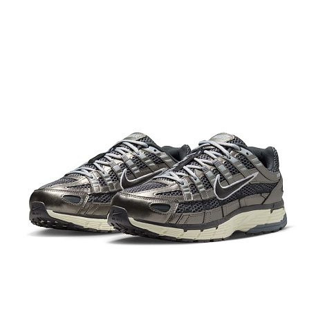 Кроссовки Nike P-6000 Special Edition