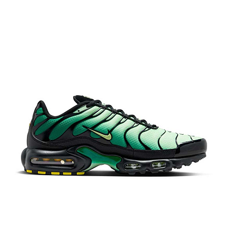 Кроссовки Nike Air Max Plus