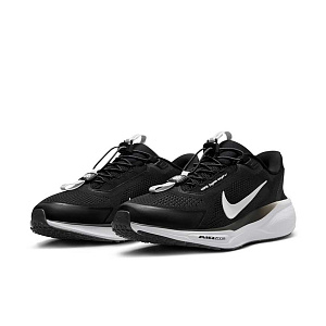 Кроссовки Nike Pegasus EasyOn