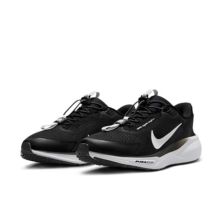 Кроссовки Nike Pegasus EasyOn