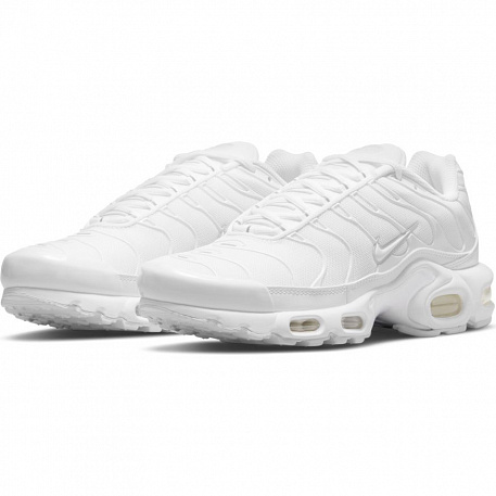 Кроссовки Nike AIR MAX PLUS