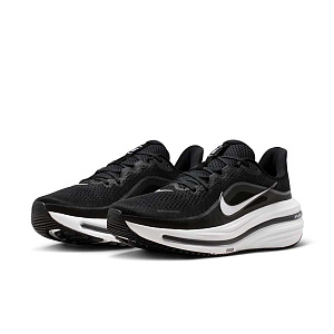 Кроссовки Nike Air Winflo 12