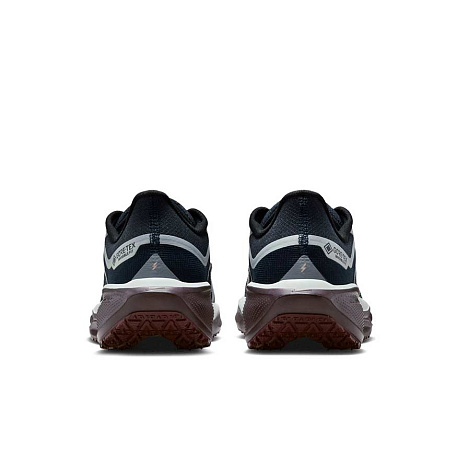 Кроссовки Nike Pegasus 41 GORE-TEX