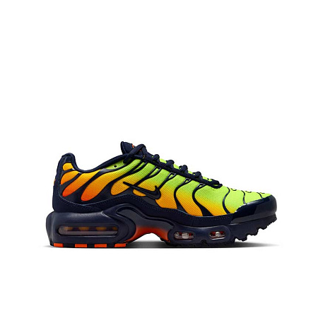 Кроссовки Nike Air Max Plus (GS)