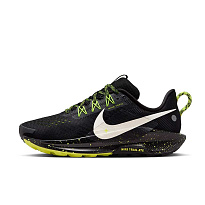 Кроссовки Nike Pegasus Trail 5