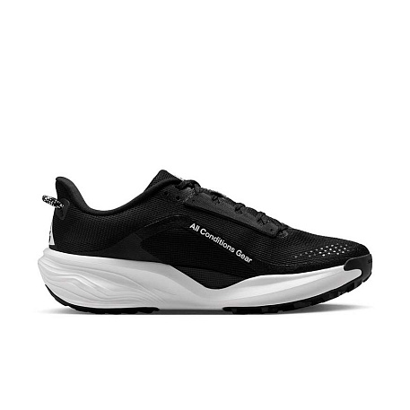 Кроссовки Nike Acg Pegasus