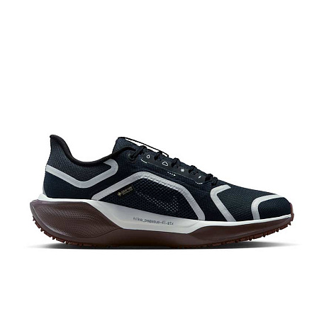 Кроссовки Nike Pegasus 41 GORE-TEX