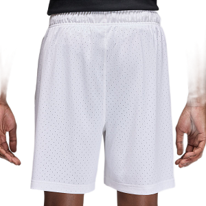 Шорты Jordan Sport Dri-FIT Mesh Shorts