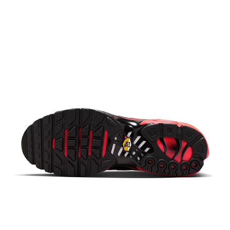 Кроссовки Nike Air Max Plus