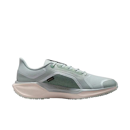 Кроссовки Nike Pegasus 41 GORE-TEX