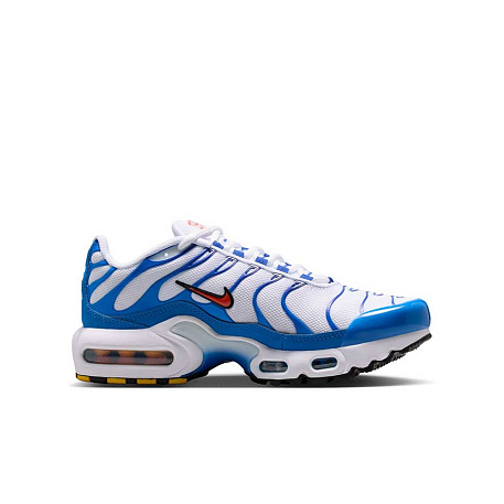 Кроссовки Nike Air Max Plus (GS)