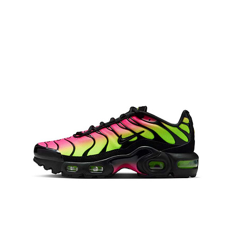 Кроссовки Nike Air Max Plus (GS)