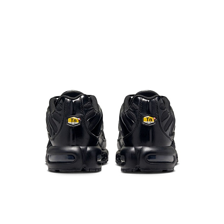 Кроссовки Nike Air Max Plus