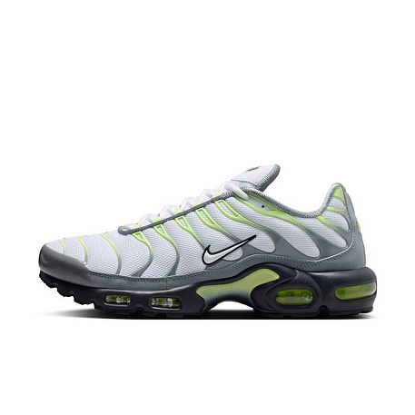 Кроссовки Nike Air Max Plus
