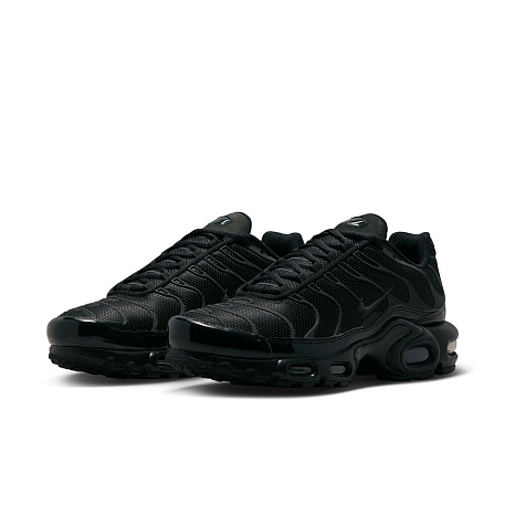 Кроссовки Nike Air Max Plus