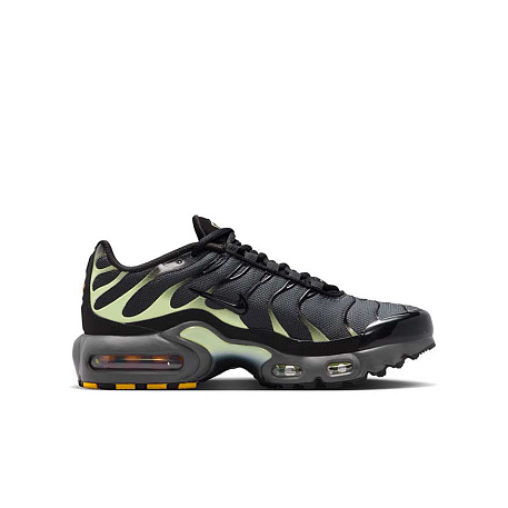 Кроссовки Nike Air Max Plus (GS)