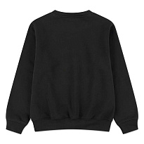 Толстовка Jordan Brroklyn Fleece