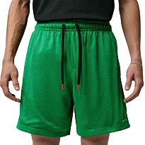 Шорты Jordan Break Champion Mesh Short