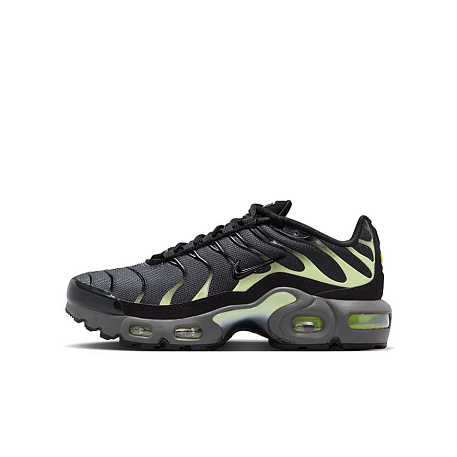 Кроссовки Nike Air Max Plus (GS)