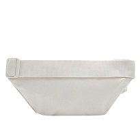 Сумка Converse Go 2 Sling Pack (4L)