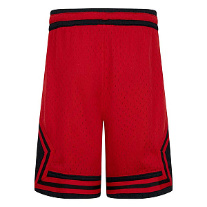 Шорты Air Jordan Sport Dri-Fit Diamond Short