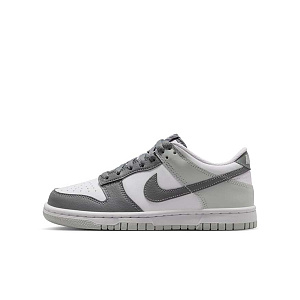 Кроссовки Nike Dunk Low Retro Premium (GS)