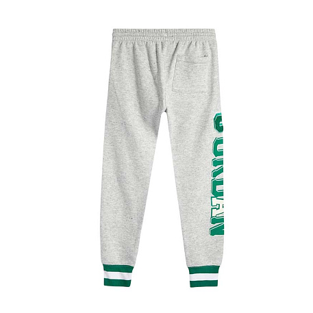 Брюки Jordan Court of Legends Pant