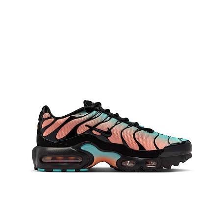 Кроссовки Nike Air Max Plus