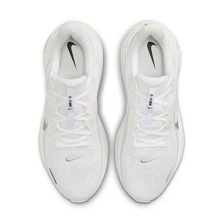 Кроссовки Nike Air Winflo 12