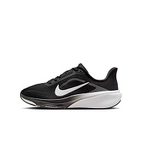 Кроссовки Nike Air Zoom Pegasus 42 (GS)