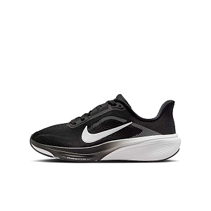 Кроссовки Nike Air Zoom Pegasus 42 (GS)