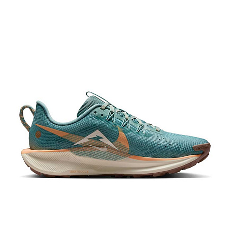 Кроссовки Nike Pegasus Trail 5