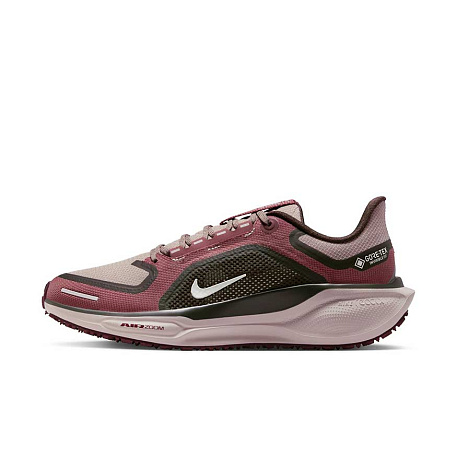 Кроссовки Nike Pegasus 41 GORE-TEX